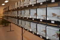 /album/onderlinge-tentoonstelling-2022/tt-2022-jpg/